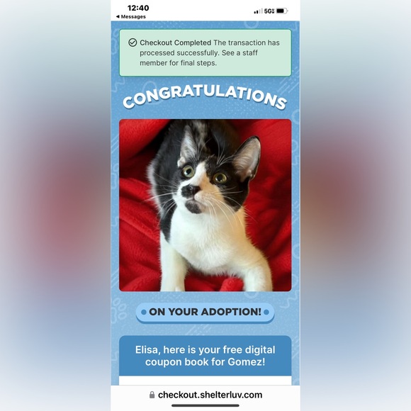 💋COME MEET YOUR SELLER /BUYER COACHGRL2015💋 - Picture 8 of 11